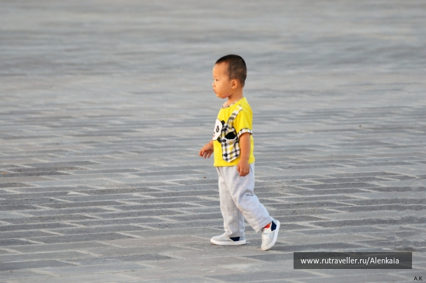 photo 843934