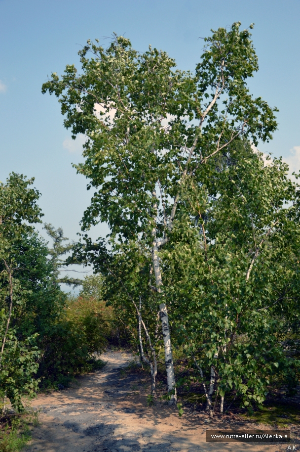 photo 857046