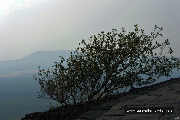 photo 857549