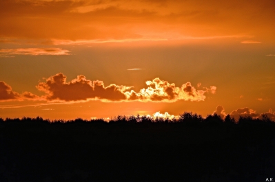 photo 865474