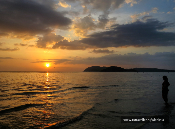 photo 1619182