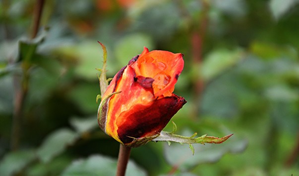 IMG_20131109_040503