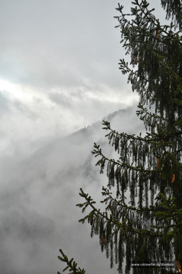photo 990057