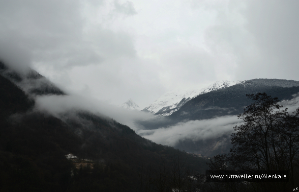 photo 991599
