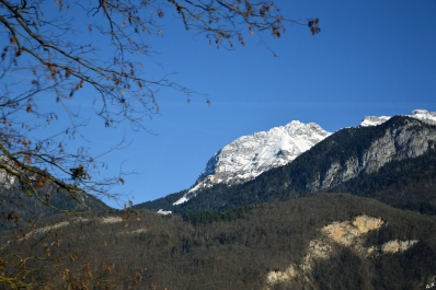 photo 962181