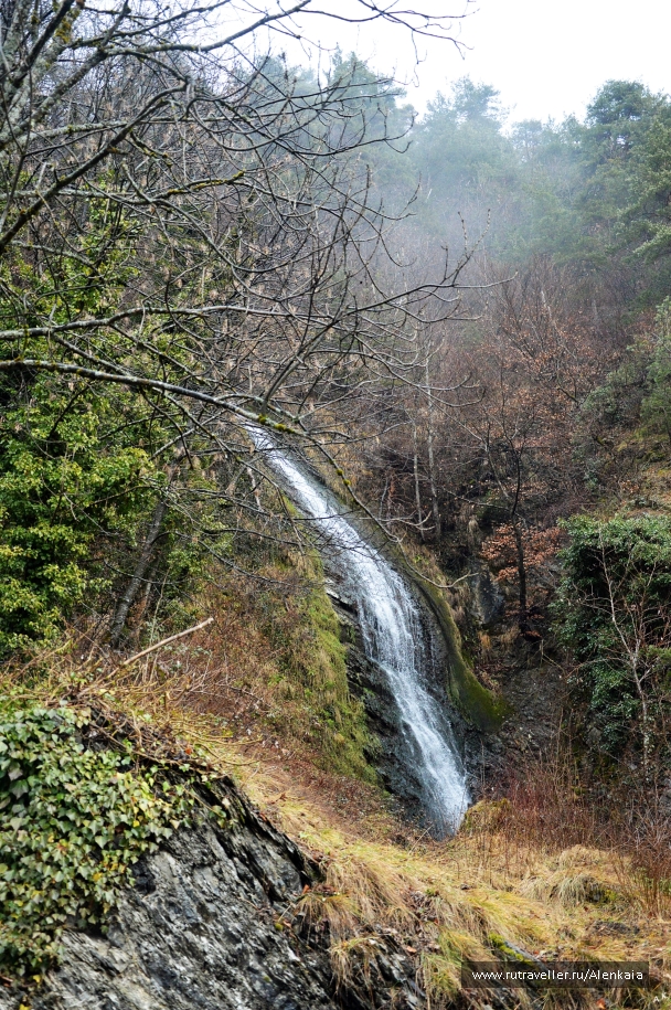 photo 972501