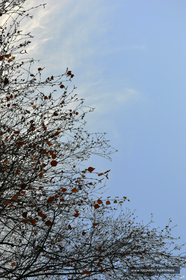 photo 992201