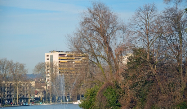 DSC_0535