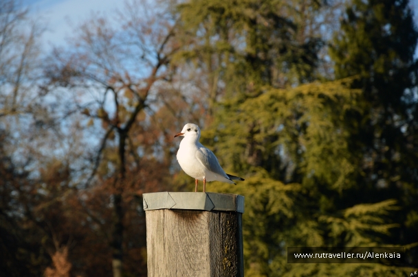 photo 963840