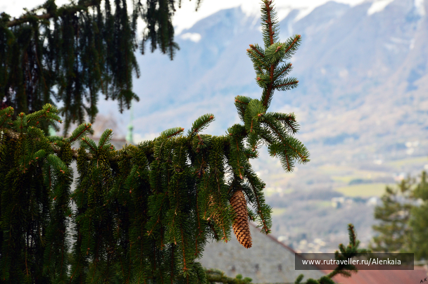 photo 990023