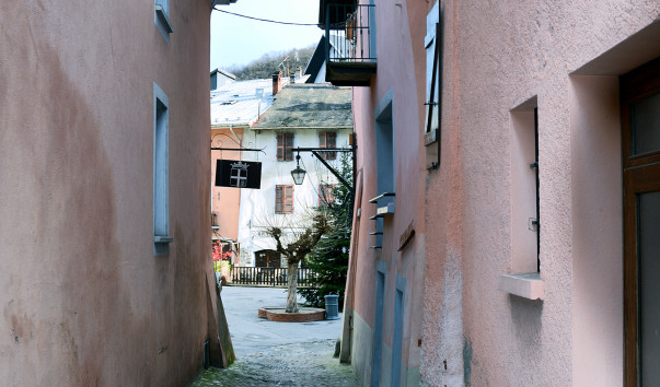 DSC_0381