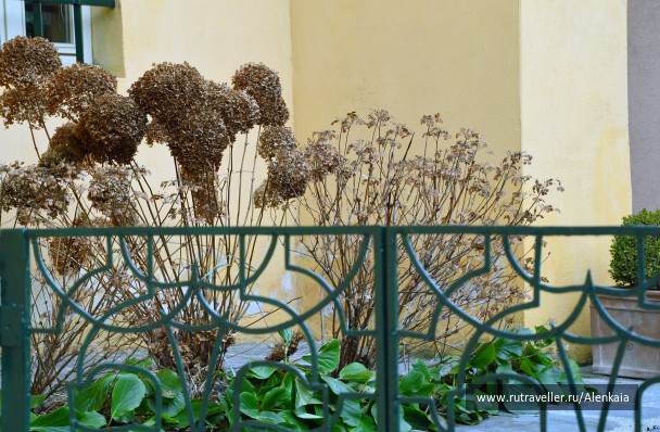 photo 1067425