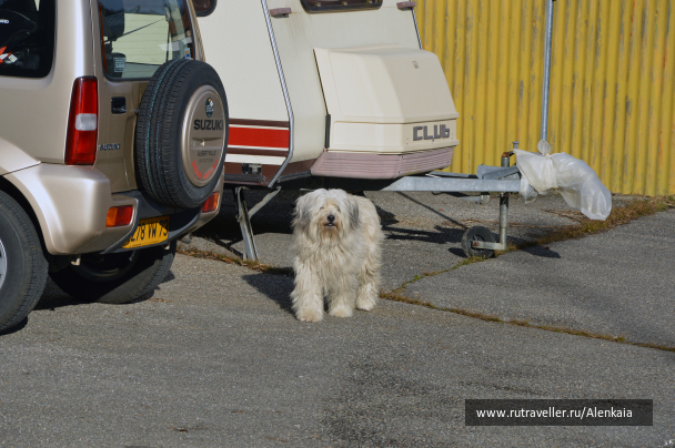 photo 1089229