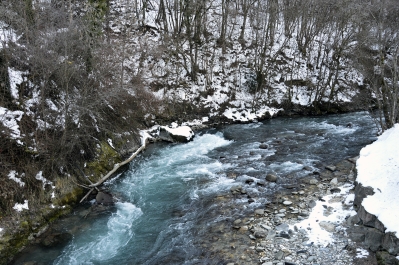 photo 973126
