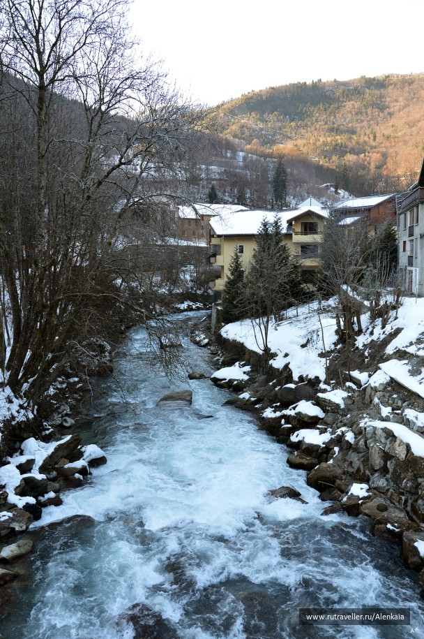 photo 973129