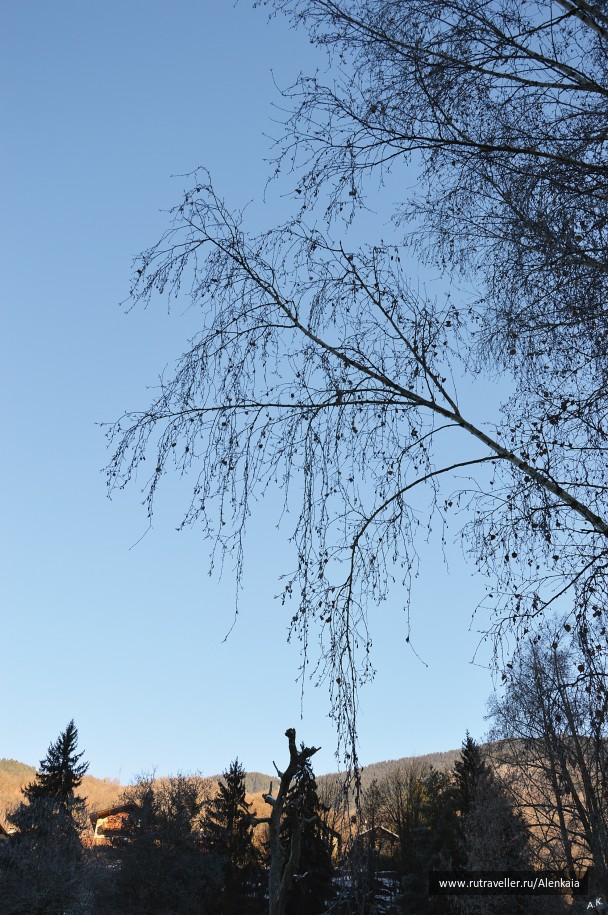 photo 979285