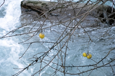 photo 979286