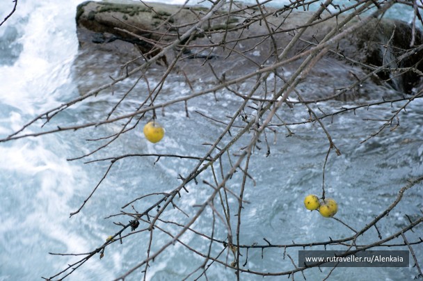 photo 979286