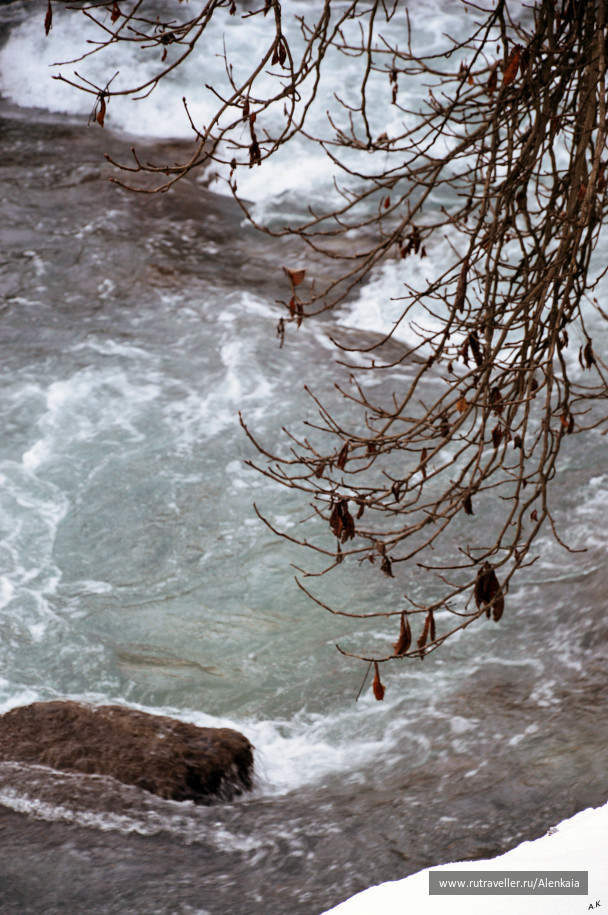 photo 995663