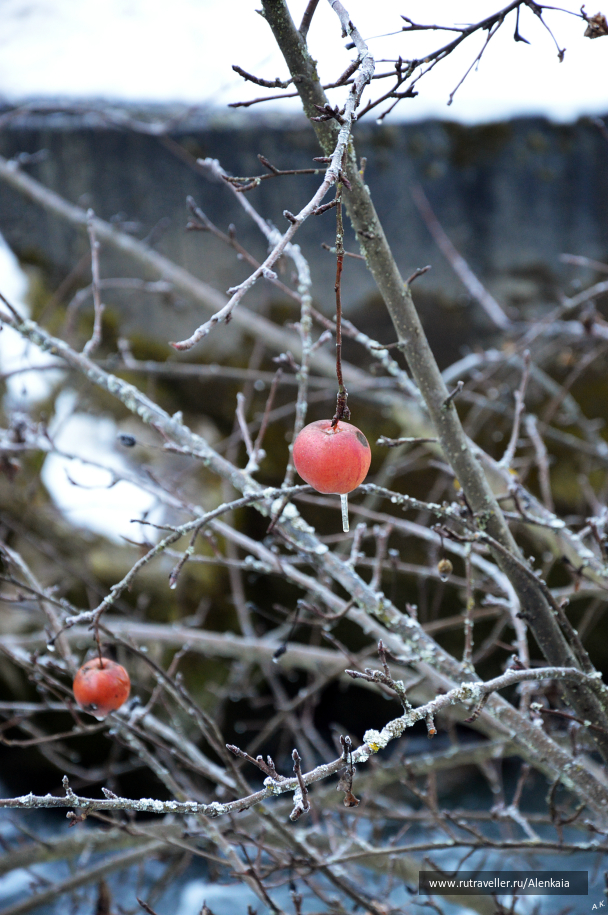 photo 995665
