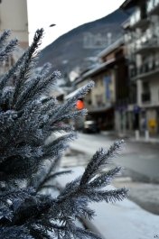 photo 964449