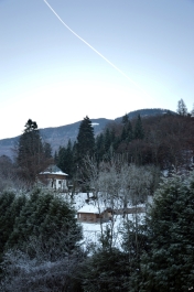 photo 964627