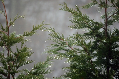 photo 964630