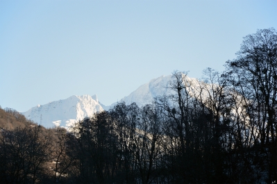 photo 970810