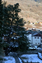 photo 970833