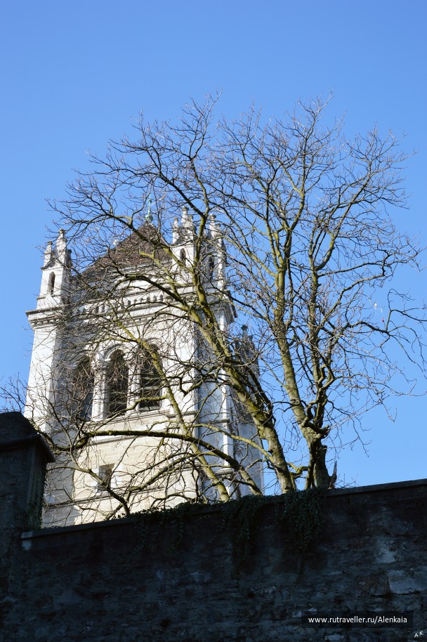 photo 977582