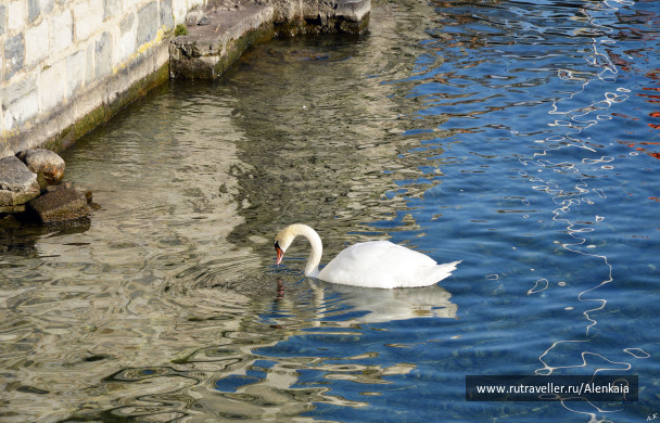 photo 1106759