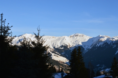 photo 975355