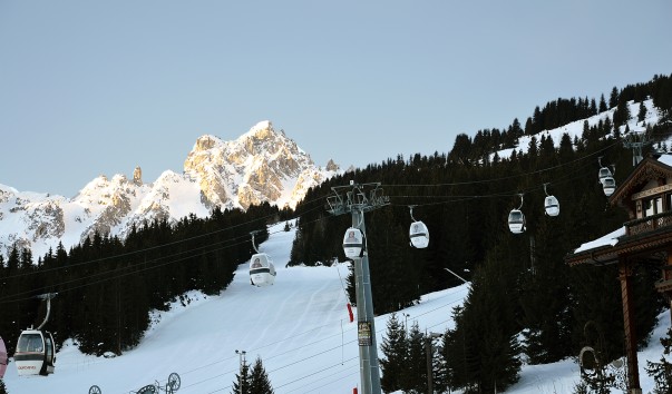 DSC_0050 (2)