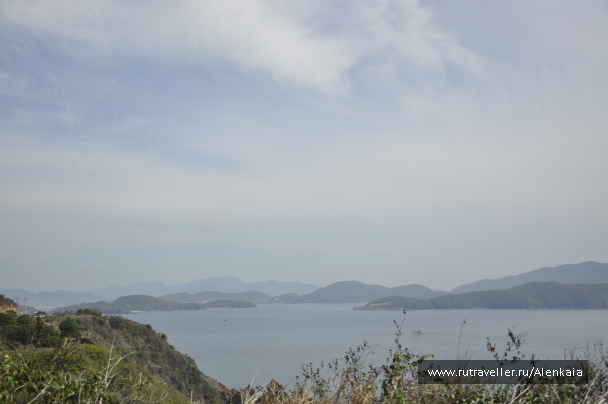 photo 1152183