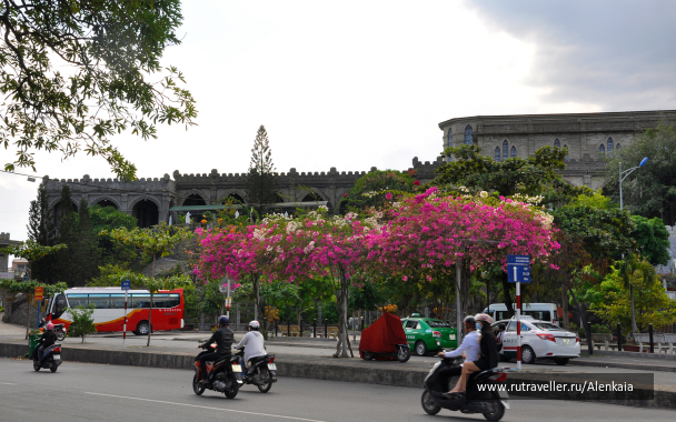 photo 1154328