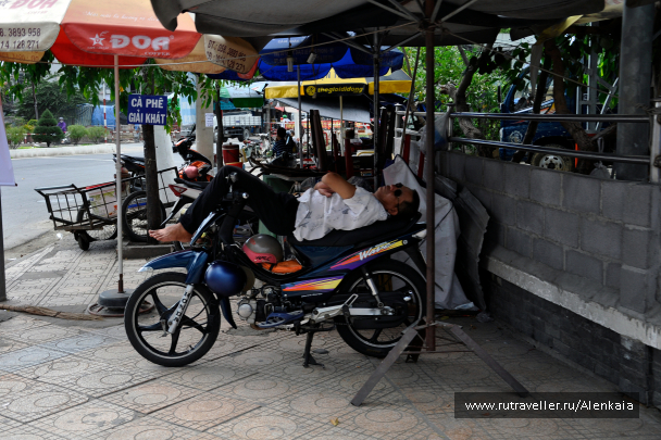photo 1156413