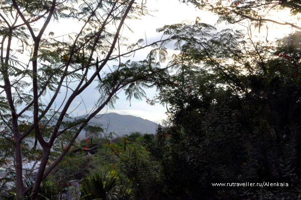 photo 1159564