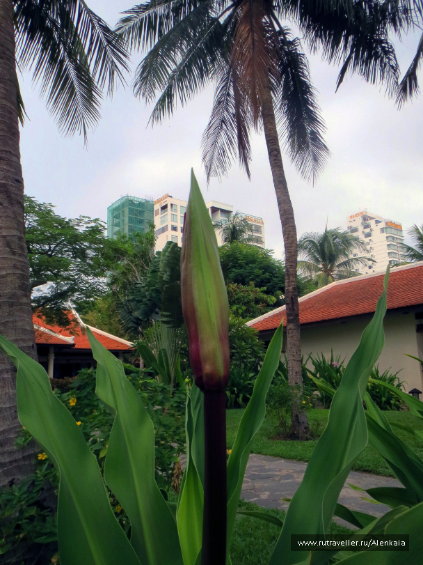 photo 1164802