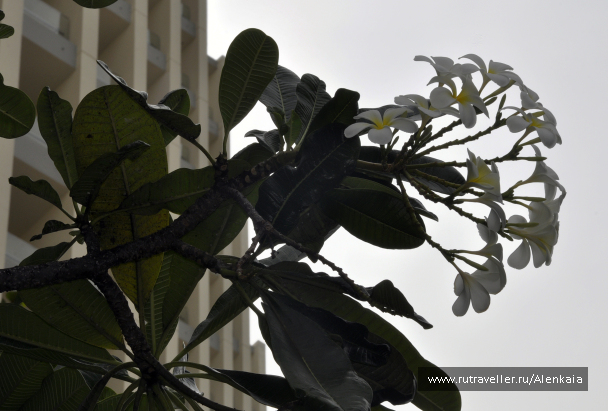 photo 1395206