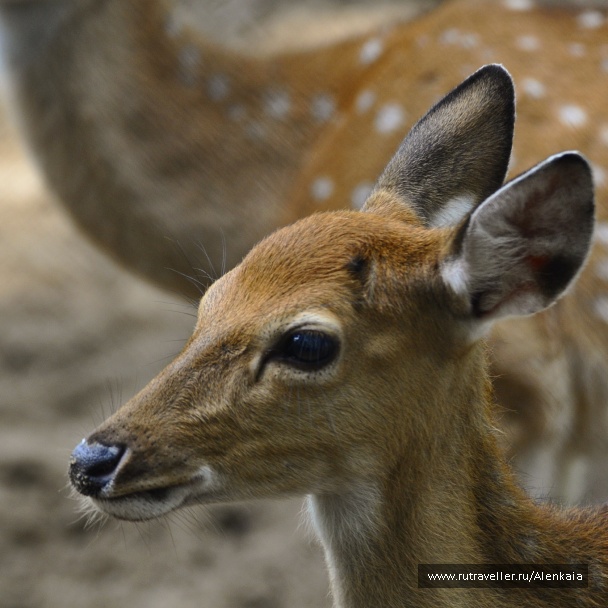 photo 1395369