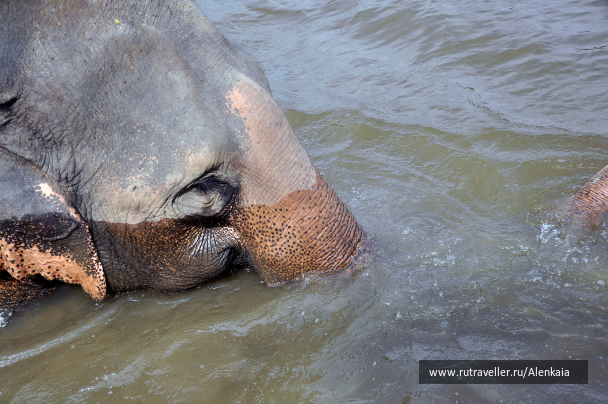 photo 1400964