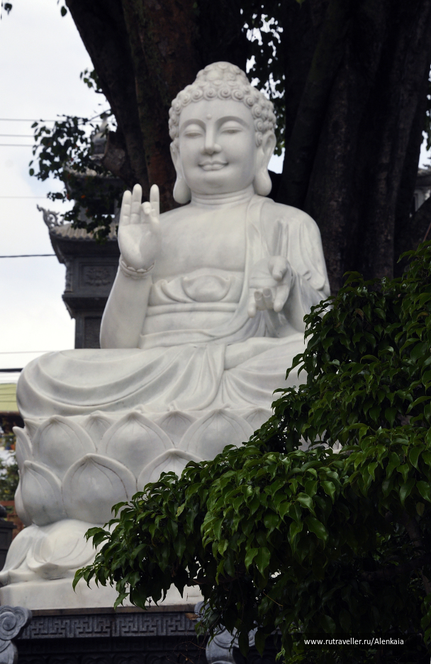 photo 1414515