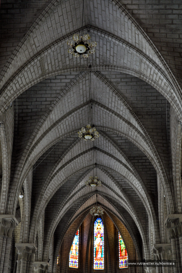 photo 1549244
