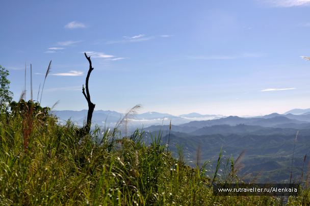 photo 1549259