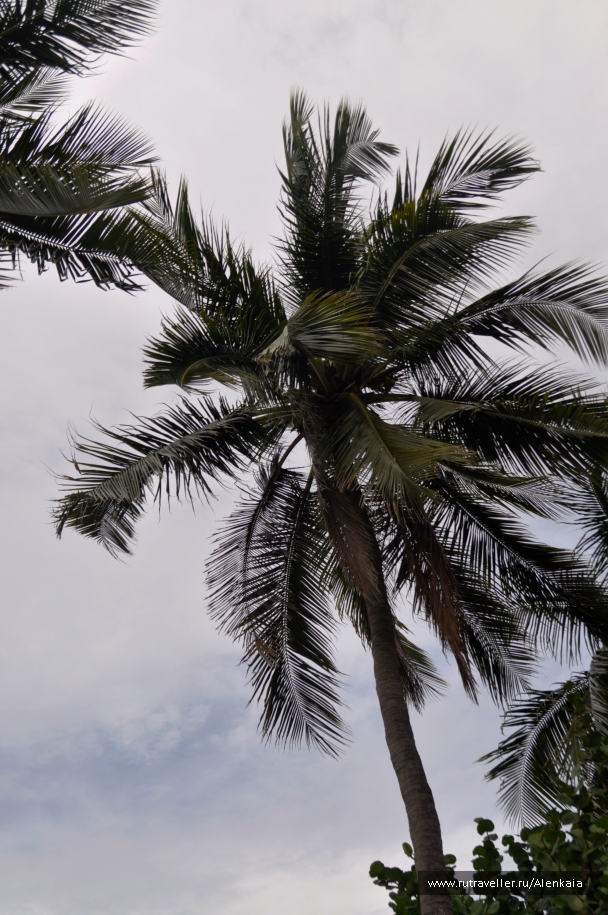 photo 1549260