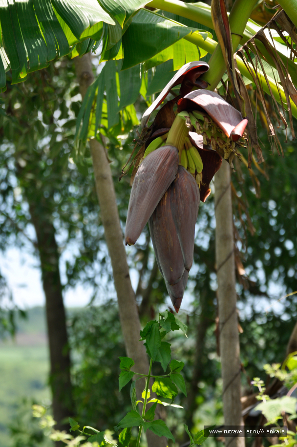 photo 1552451