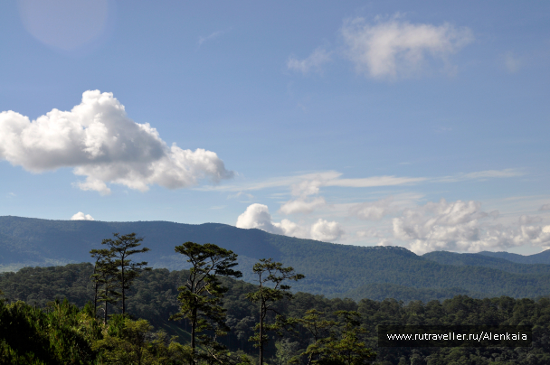 photo 1564763