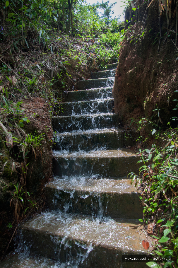 photo 1566175