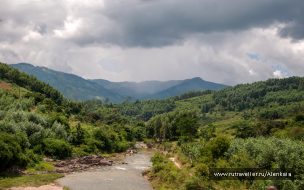 photo 1566441