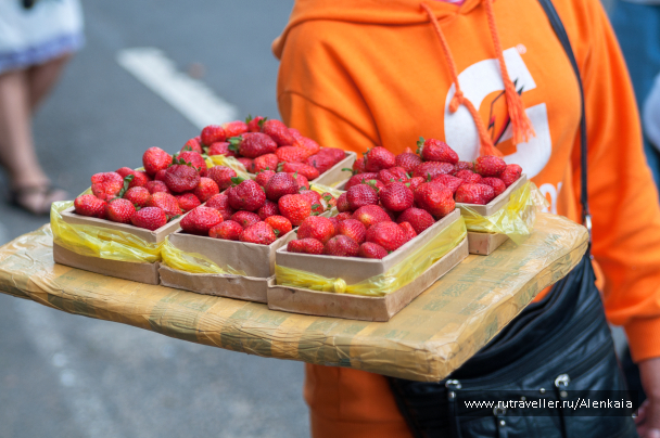 photo 1585474